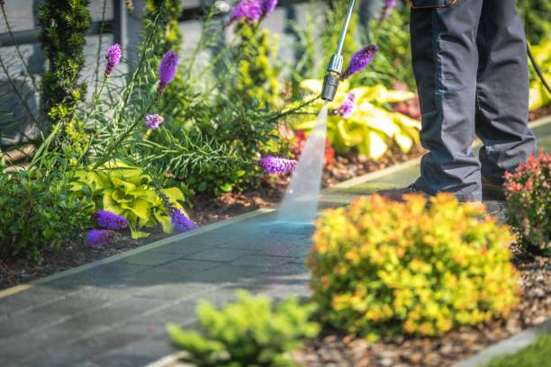Best Animal Enclosure Cleaning  in Willow Park, TX